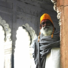 Centraal Oost India (21)