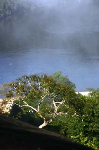 Centraal Venezuela (105)