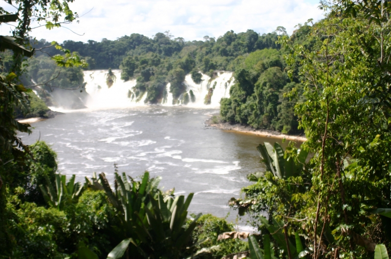 Centraal Venezuela (107)