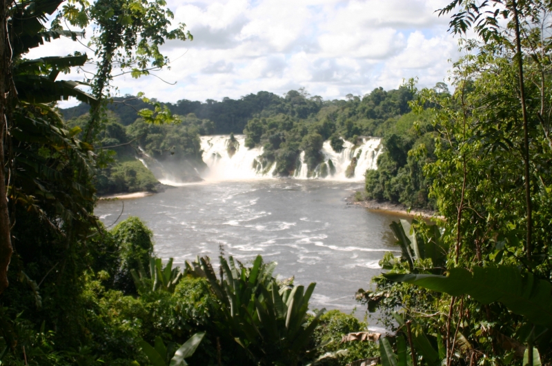 Centraal Venezuela (109)