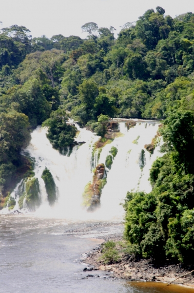 Centraal Venezuela (111)