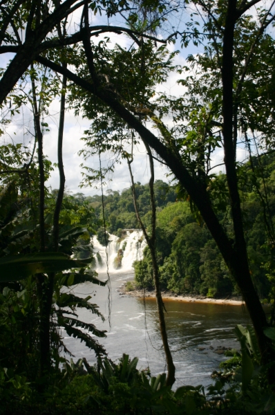Centraal Venezuela (112)