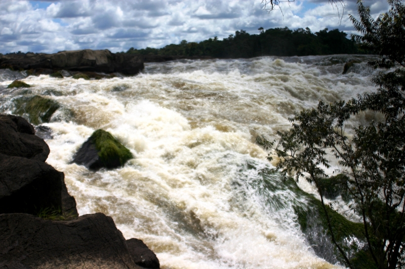 Centraal Venezuela (114)