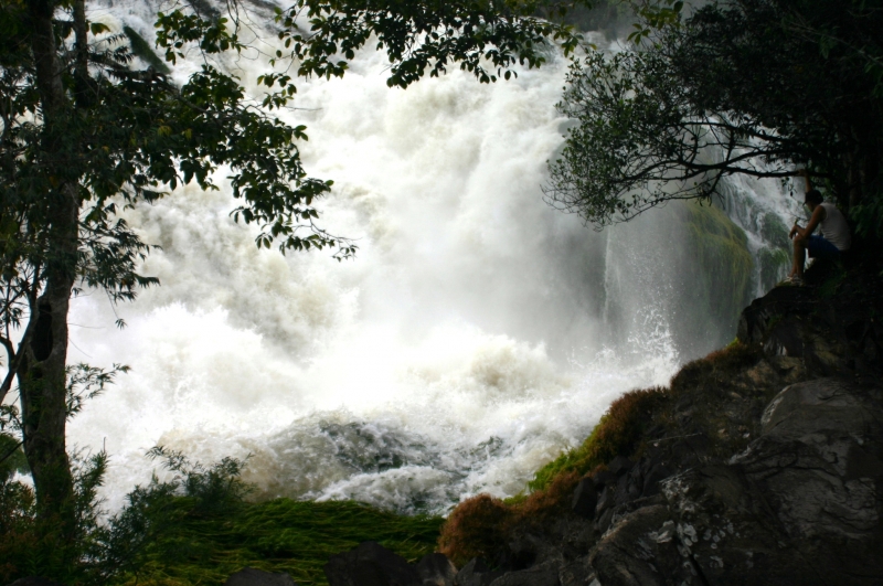Centraal Venezuela (117)