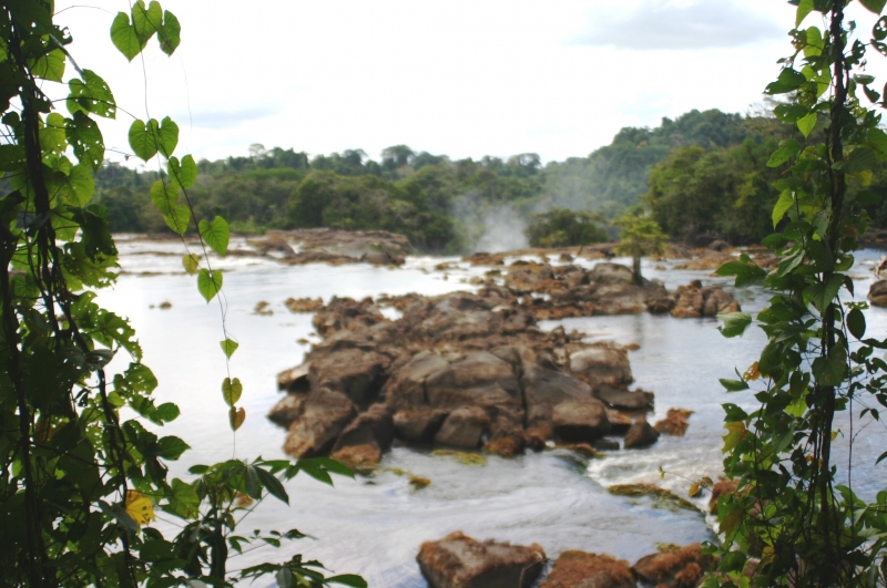Centraal Venezuela (119)