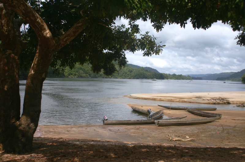 Centraal Venezuela (126)