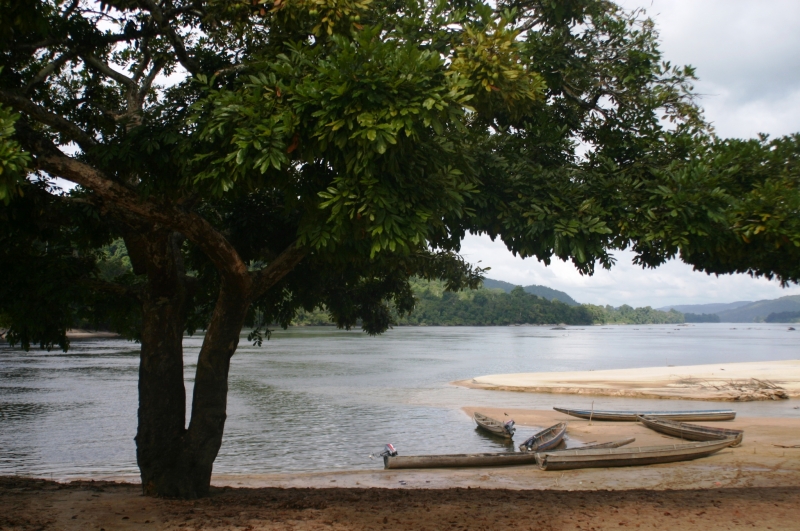Centraal Venezuela (127)