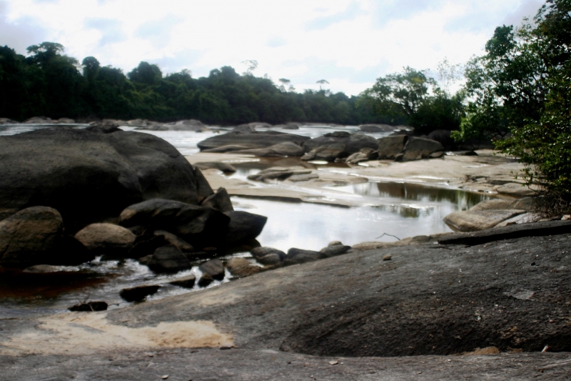 Centraal Venezuela (129)