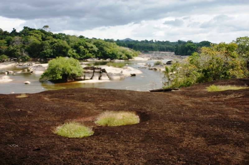 Centraal Venezuela (133)