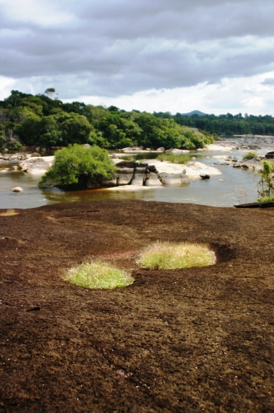 Centraal Venezuela (134)