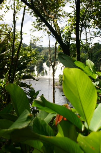 Centraal Venezuela (153)