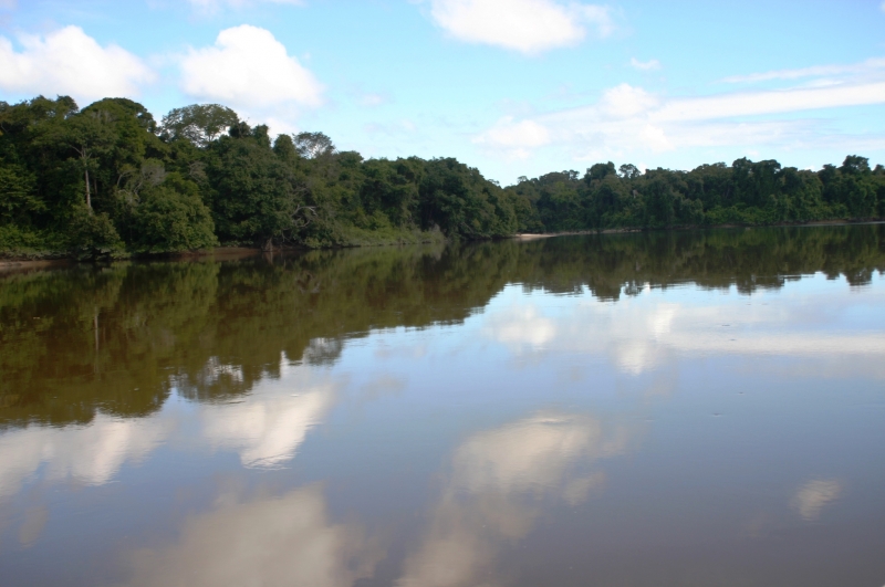Centraal Venezuela (88)