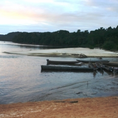 Centraal Venezuela (93)