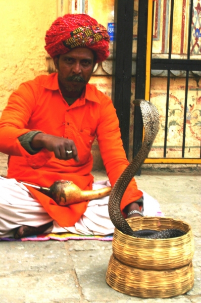Centraal West India (127)