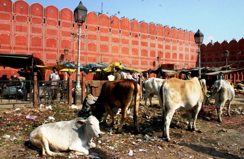 Centraal West India (37)