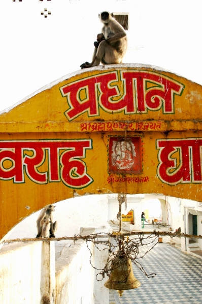 Centraal West India (42)