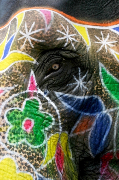 Centraal West India (80)
