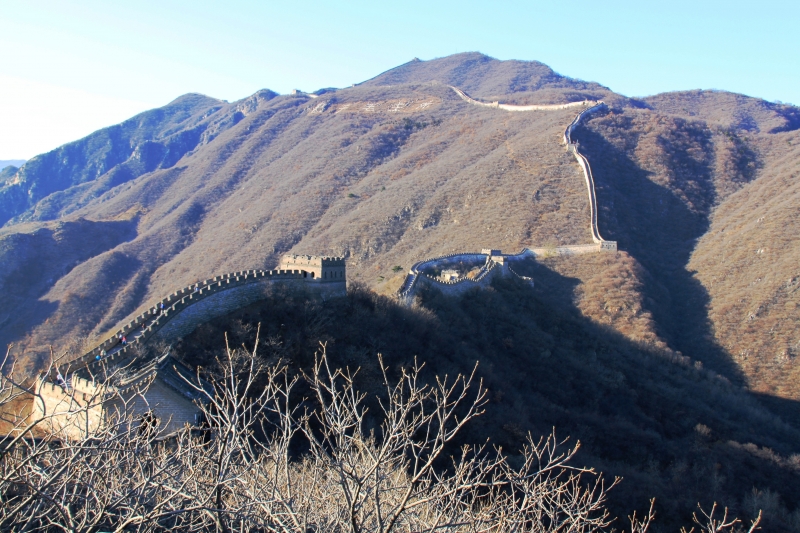 China (130)