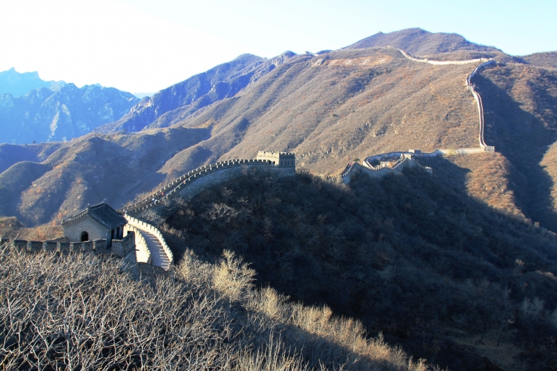 China (131)