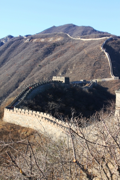 China (145)