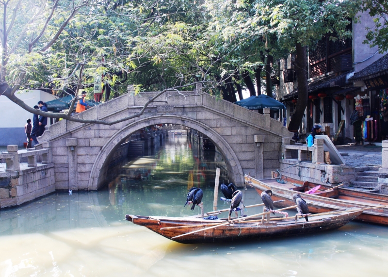 China (198)