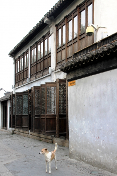 China (29)