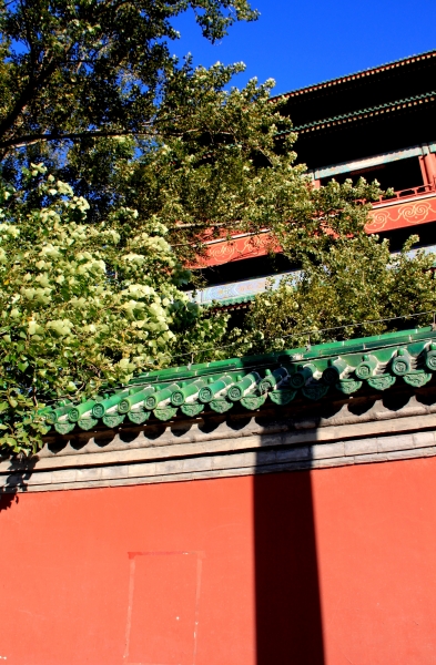 China (72)