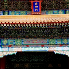 China (100)