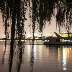 China (203)