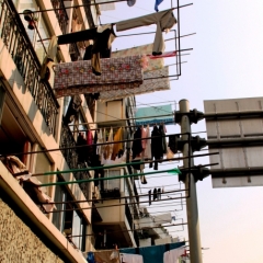China (26)