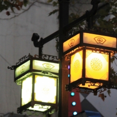 China (31)