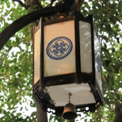 China (38)