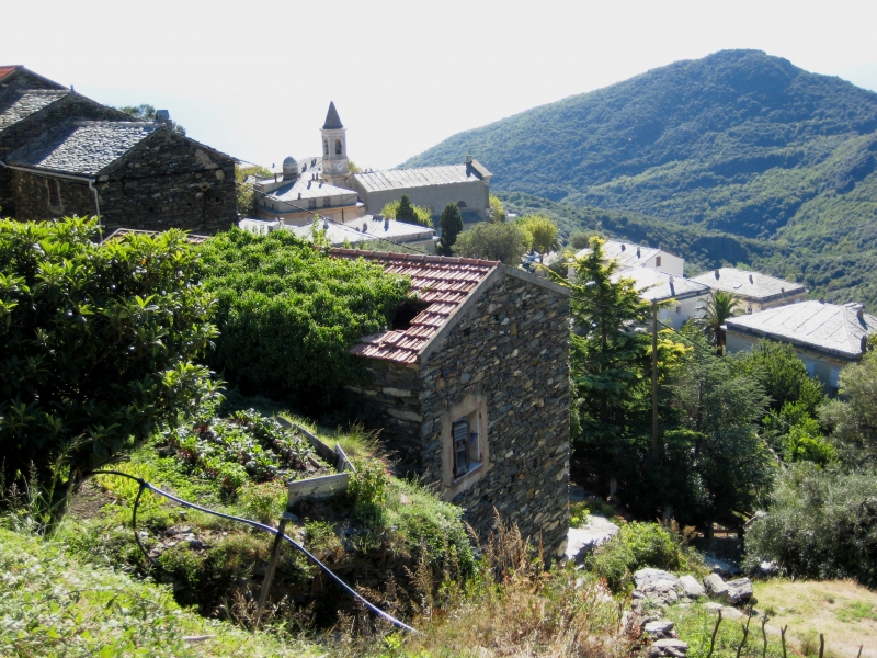 Corsica - Erbalunga (40)