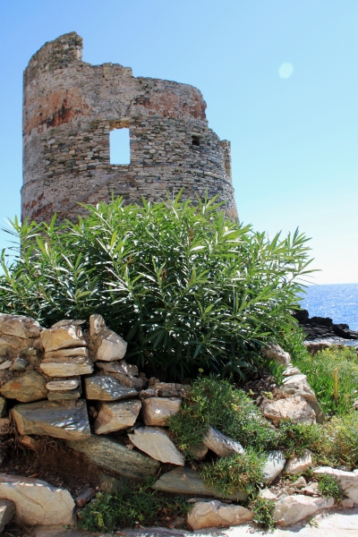 Corsica - Erbalunga (43)