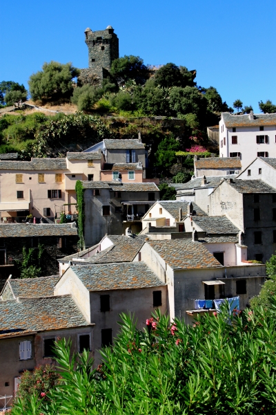 Corsica - Nonza (9)