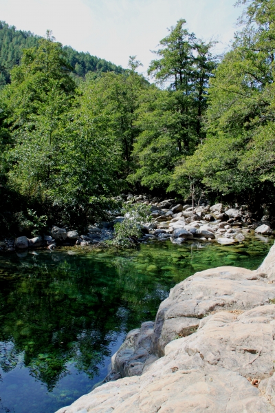 Corsica - Vallee de la Restonica (17)