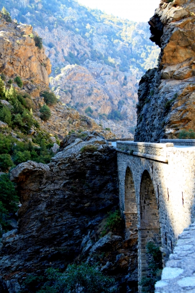 Corsica - Vallee du Niolo (9)