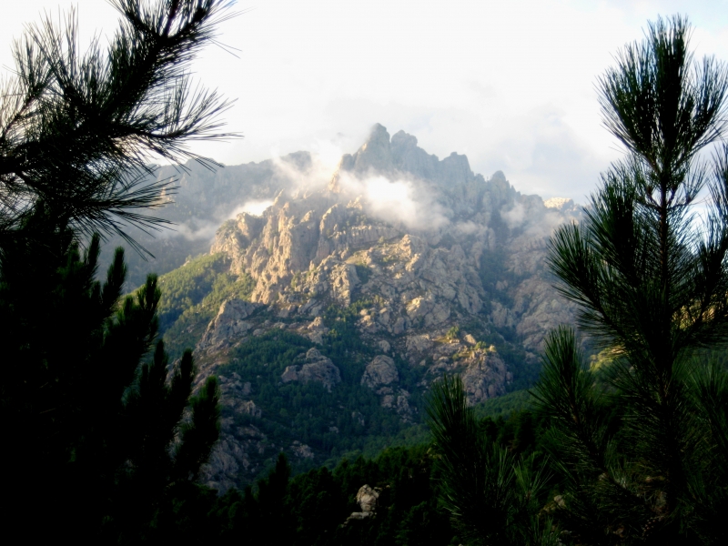 Corsica - Zonza e.o (4)