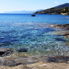 Corsica - Erbalunga (27)