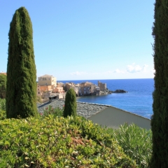 Corsica - Erbalunga (41)