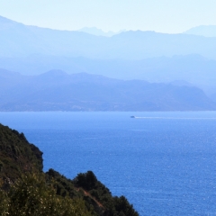Corsica - St Florent (15)