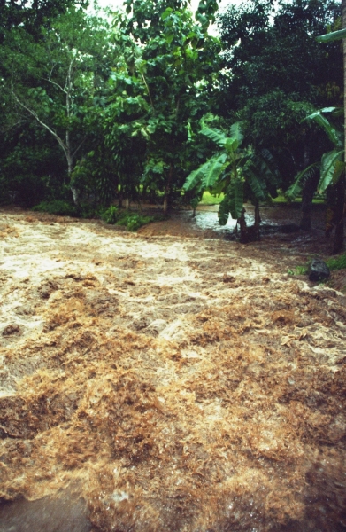 Costa Rica (29)