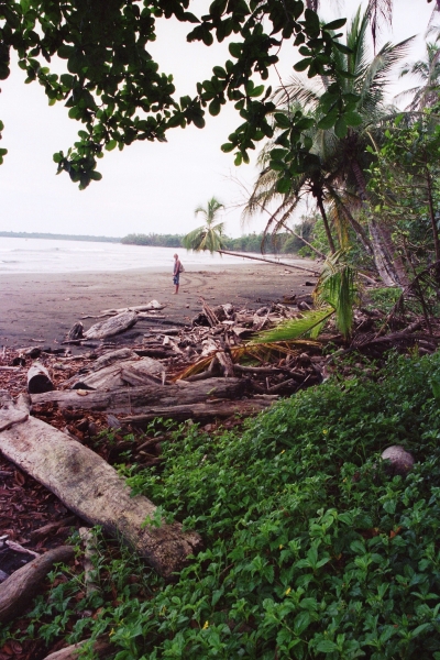 Costa Rica (30)