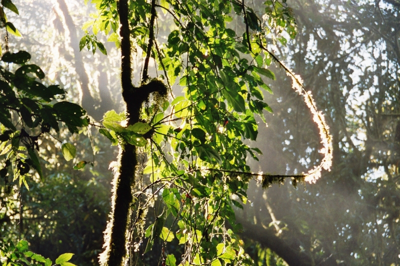 Costa Rica (40)