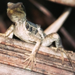 Costa Rica (19)