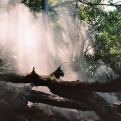 Costa Rica (37)
