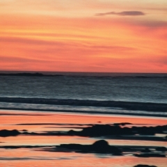Costa Rica (49)