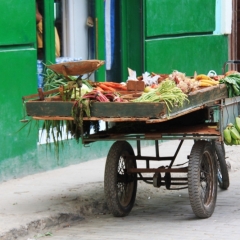 Cuba (35)