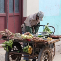 Cuba (37)
