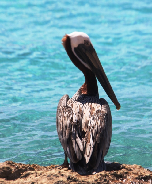 Curacao (1)